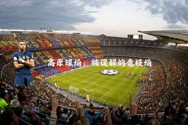 高原球场:被误解的竞技场